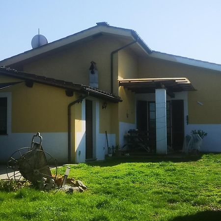 Residence Villa Ungaretti Lucca Eksteriør billede